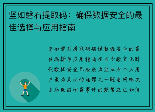 坚如磐石提取码：确保数据安全的最佳选择与应用指南